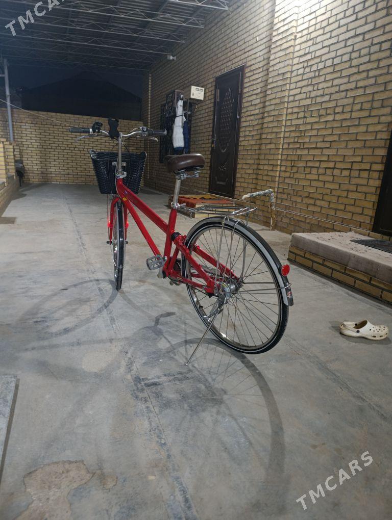 Tigir 27 - Mary - img 4