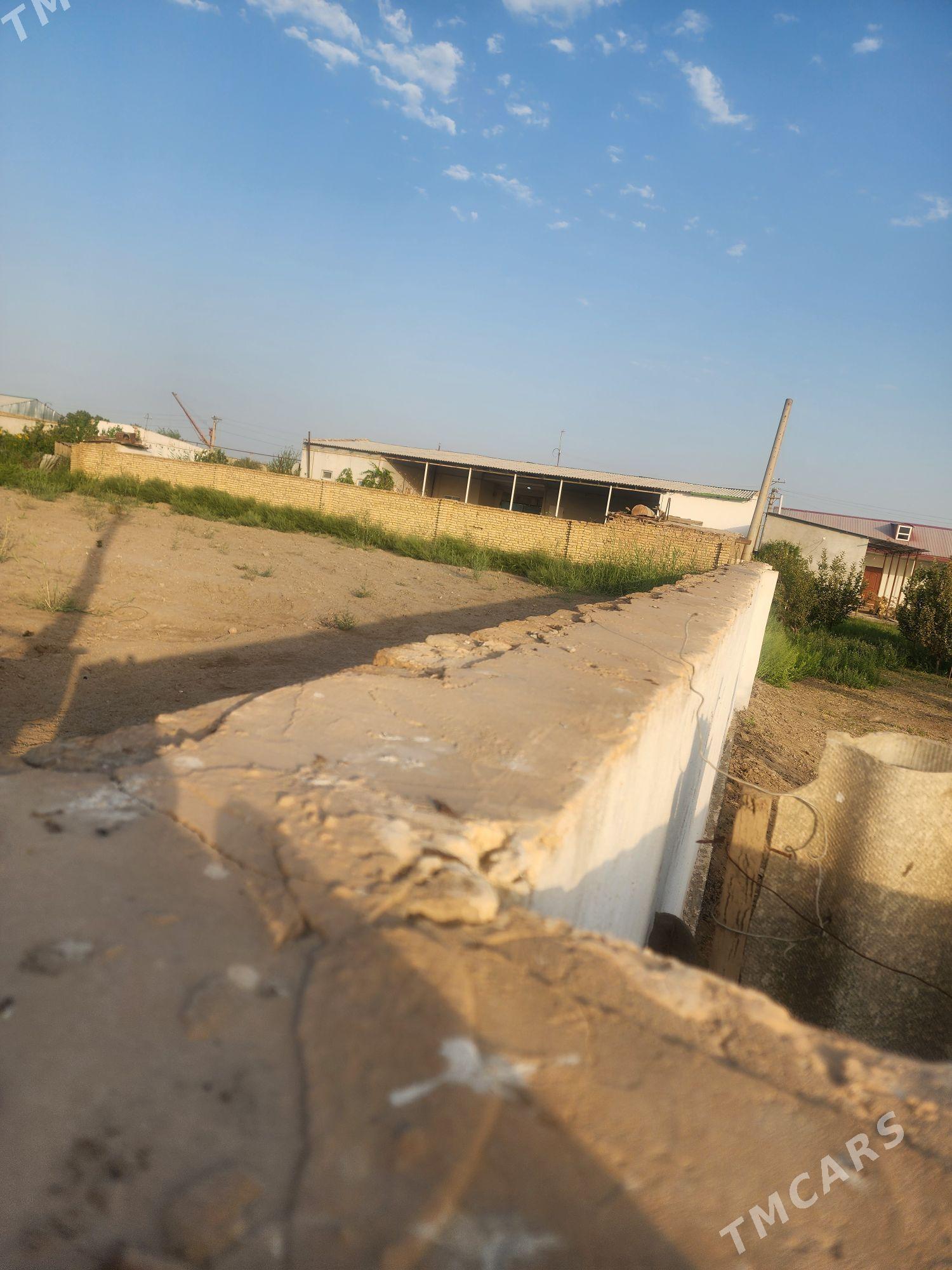 zaton data 8 sotok - Туркменабат - img 2