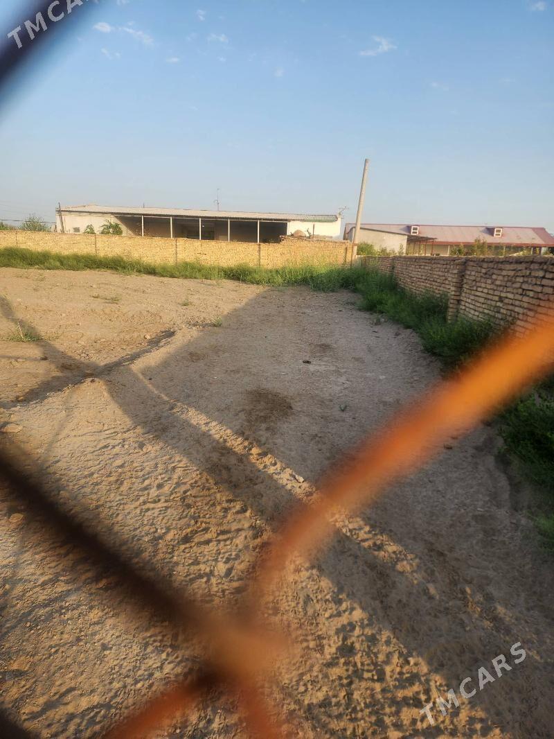 zaton data 8 sotok - Туркменабат - img 5