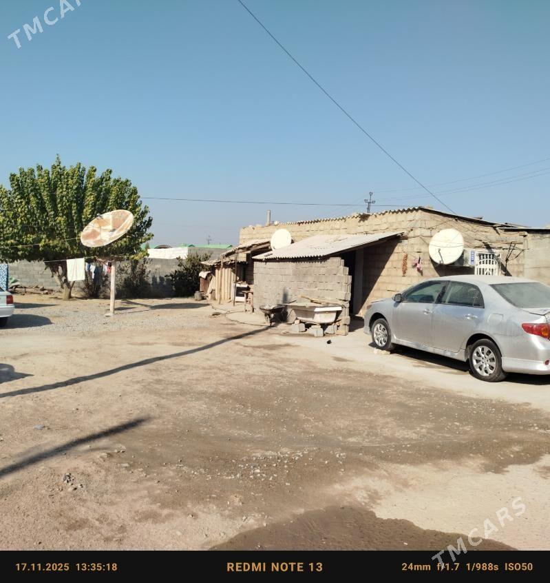 Bagyr - Aşgabat - img 1