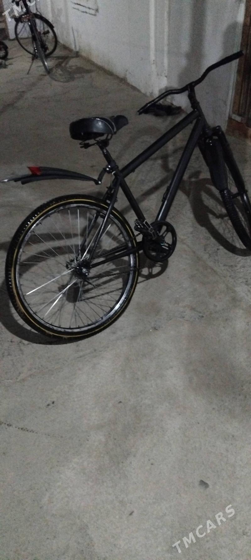 tigir - Гёкдепе - img 1