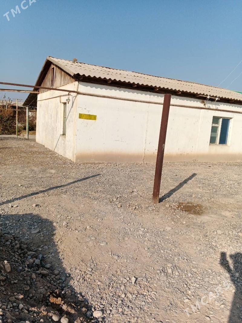 jay - Ýaşlyk - img 1