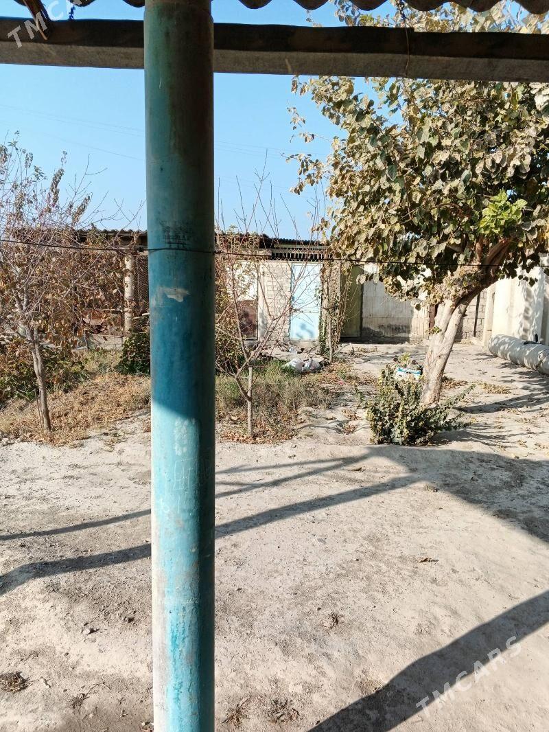 jay - Ýaşlyk - img 7