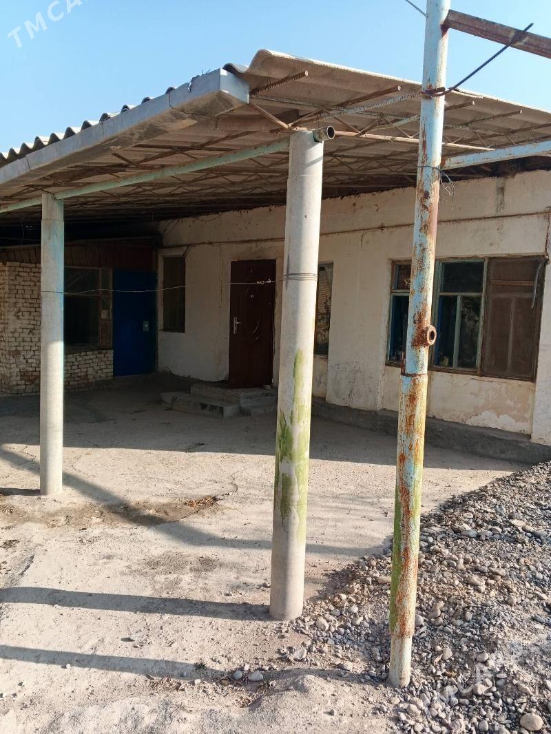 jay - Ýaşlyk - img 6