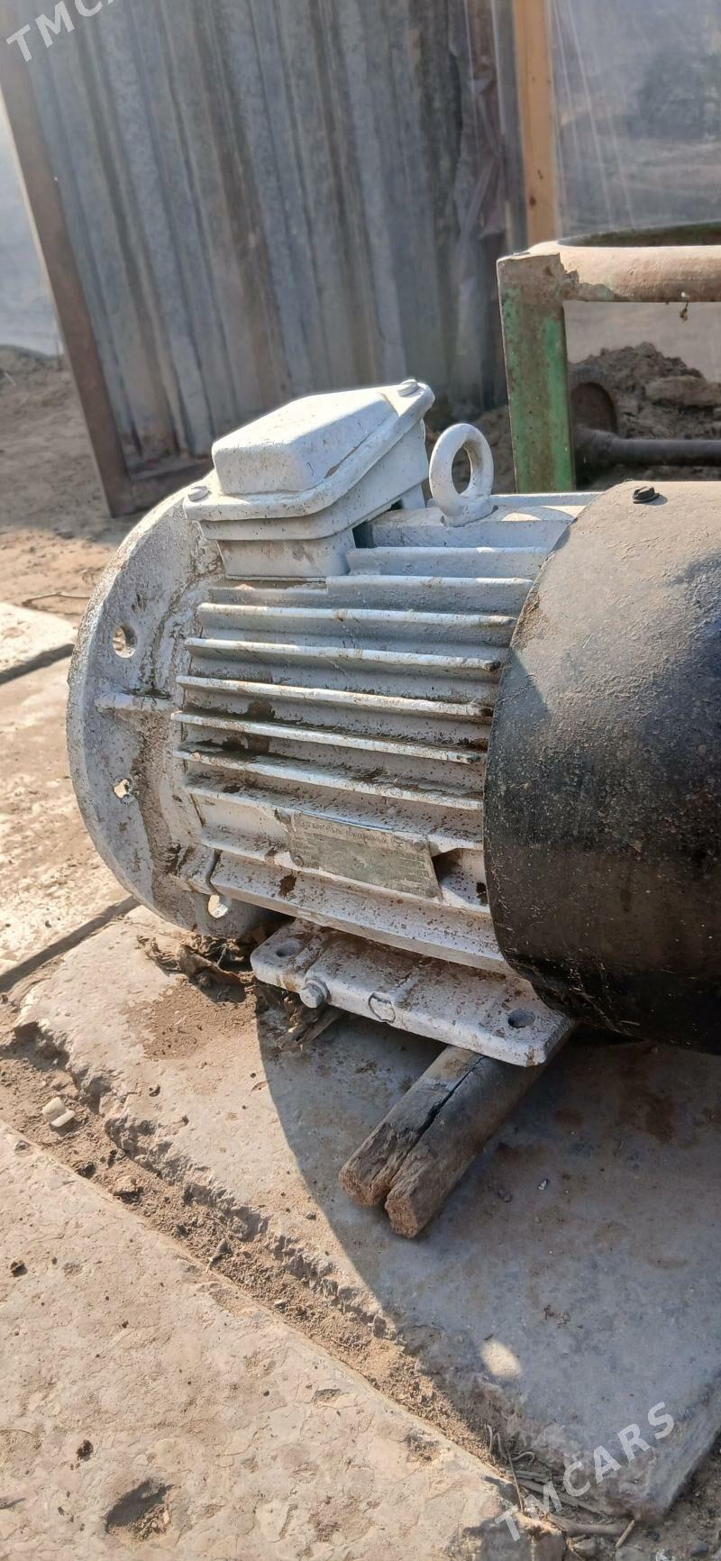 Suw Nasos - Тязе заман - img 4