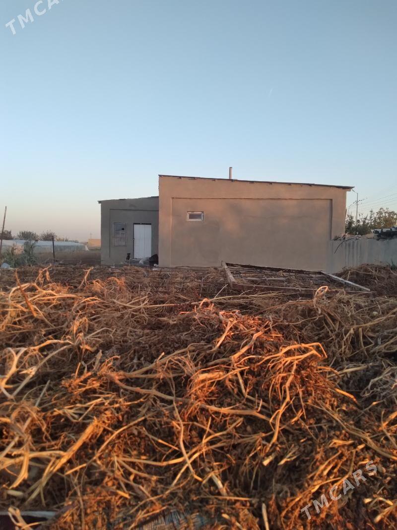 satlyk jaý - Векильбазар - img 4