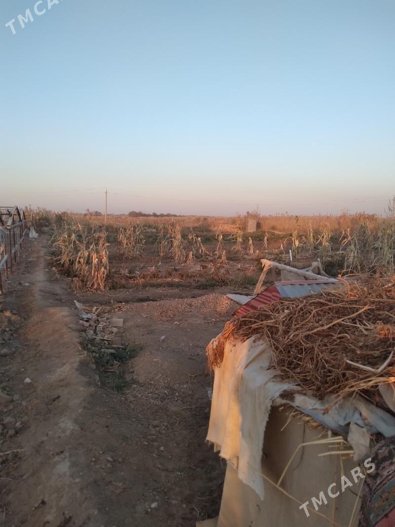 satlyk jaý - Векильбазар - img 5