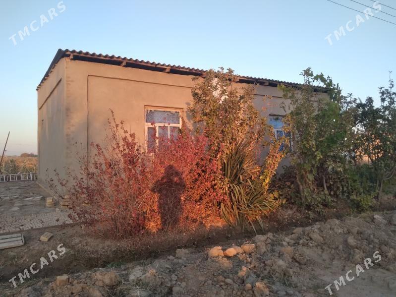 satlyk jaý - Векильбазар - img 3