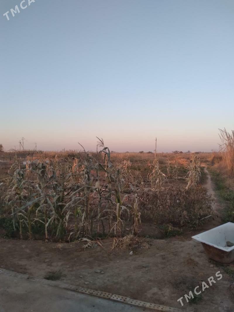 satlyk jaý - Векильбазар - img 2