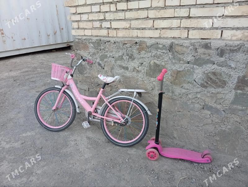 welik we samakat - Bereket - img 2