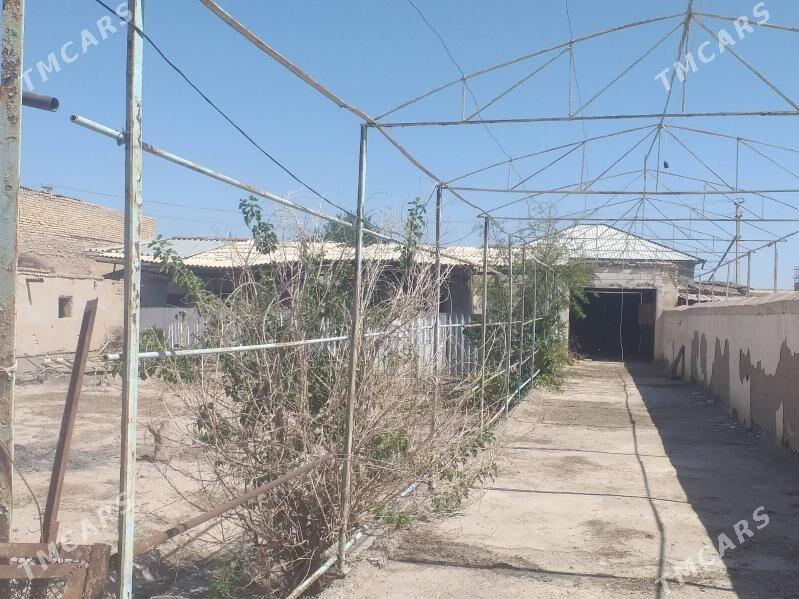 SATLYK DAÇA - Дашогуз - img 3