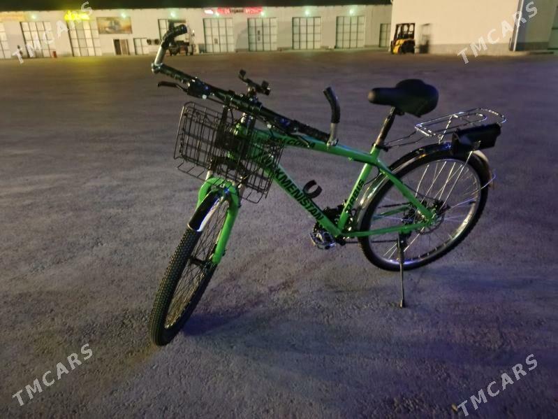 Turkmenistan tigr - Бузмеин - img 2