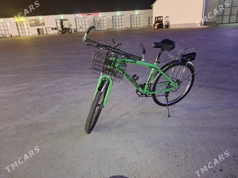 Turkmenistan tigr - Бузмеин - img 3