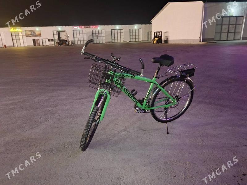 Turkmenistan tigr - Бузмеин - img 4