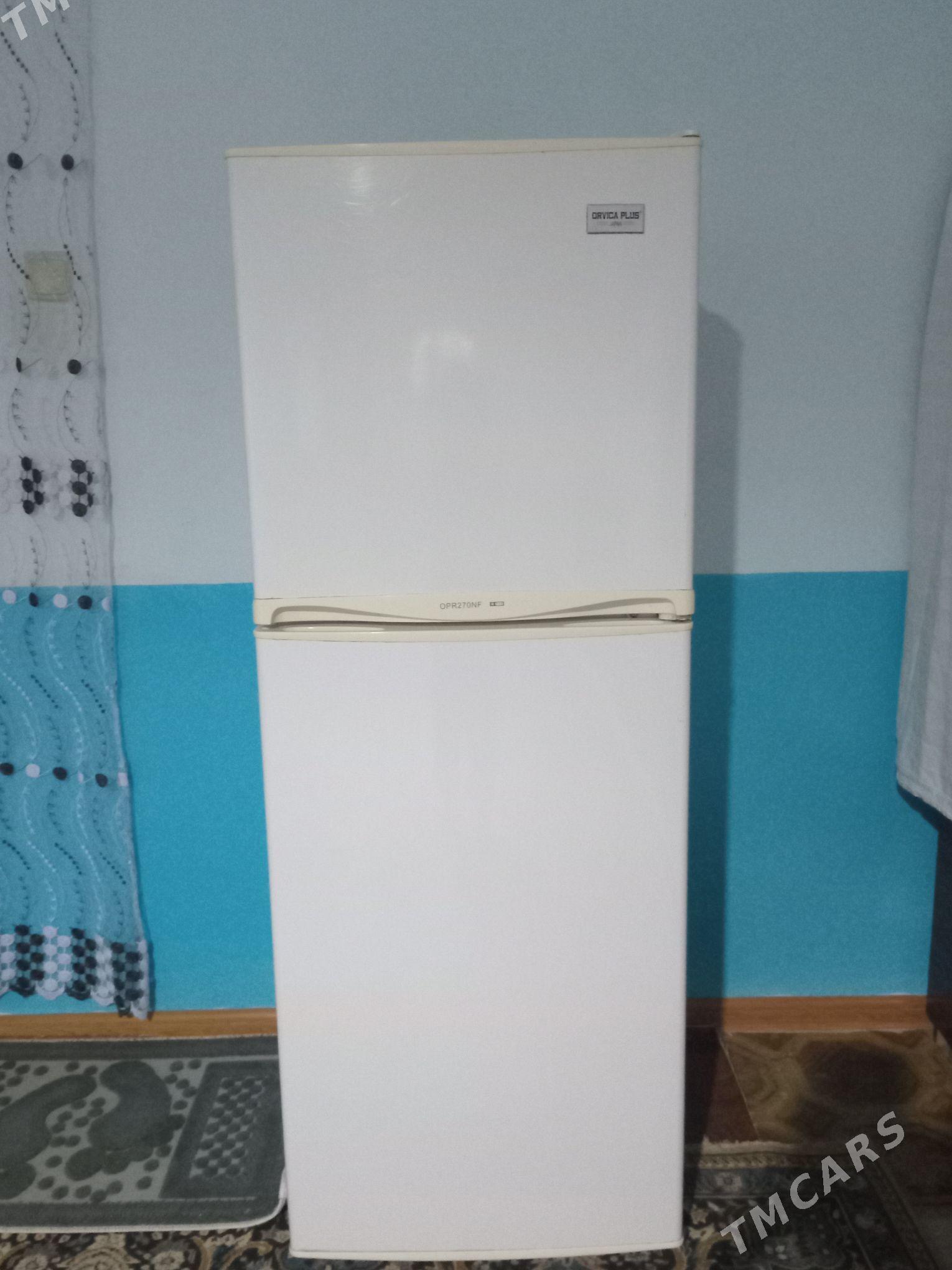 haladynik - Теджен - img 1