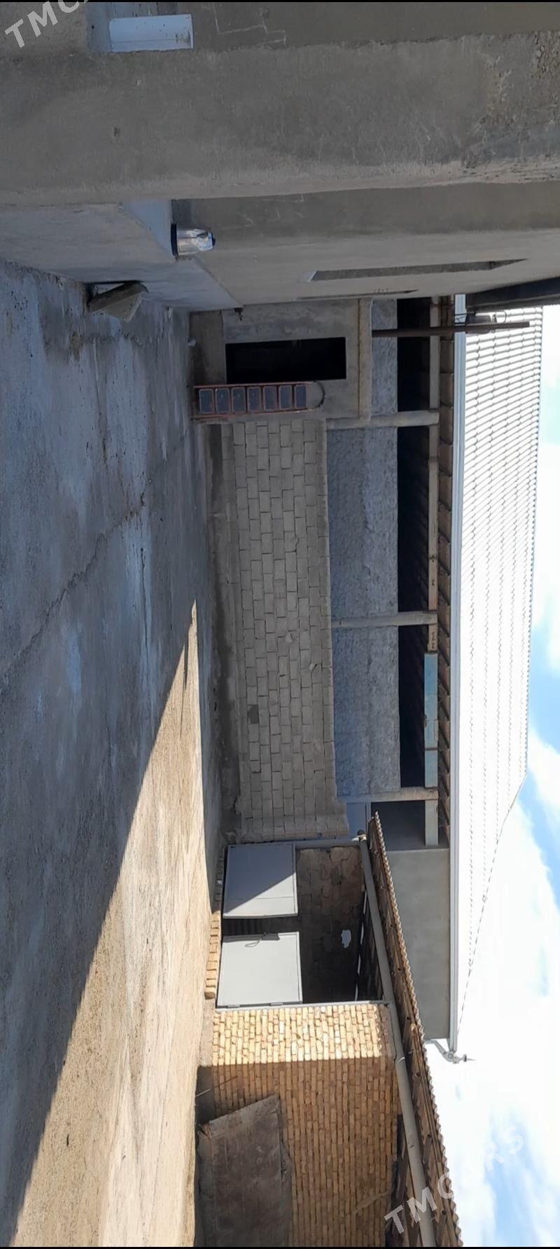 satlyk jay - Tejen - img 2