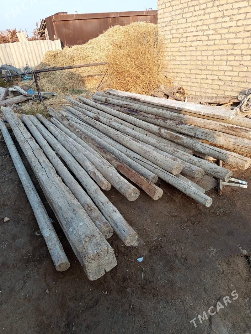 agaç - Туркменабат - img 2