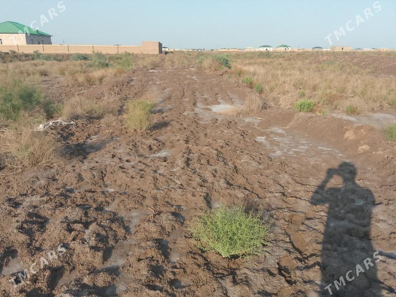 Mellek yer - Шабатский этрап - img 2