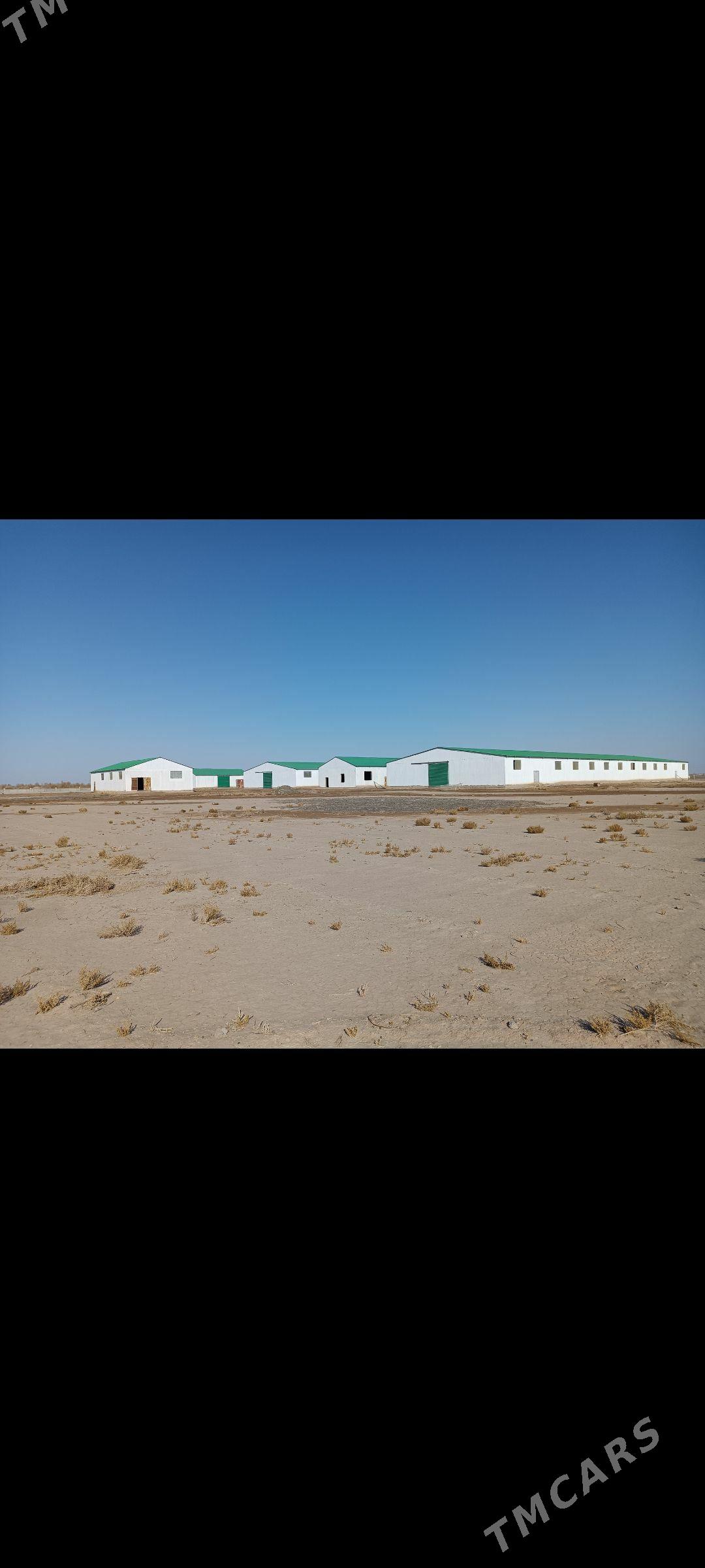 Maldarçylyk ferma - Ruhubelent etraby - img 2