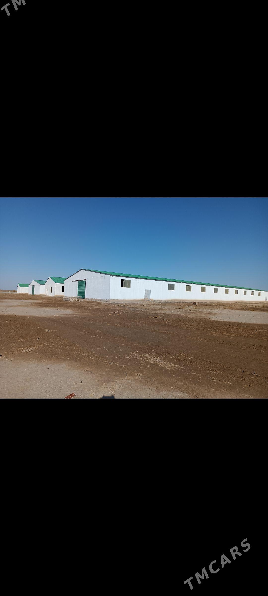 Maldarçylyk ferma - Ruhubelent etraby - img 1