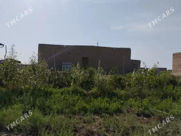 Satlyk jay - Köneürgenç - img 2