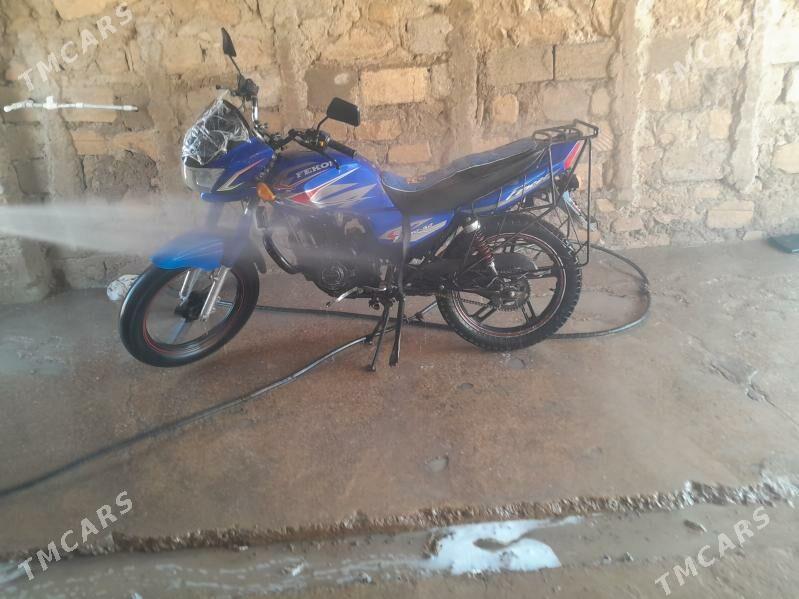 Fekon FK150-8G 2025 - 11 000 TMT - Etrek - img 3