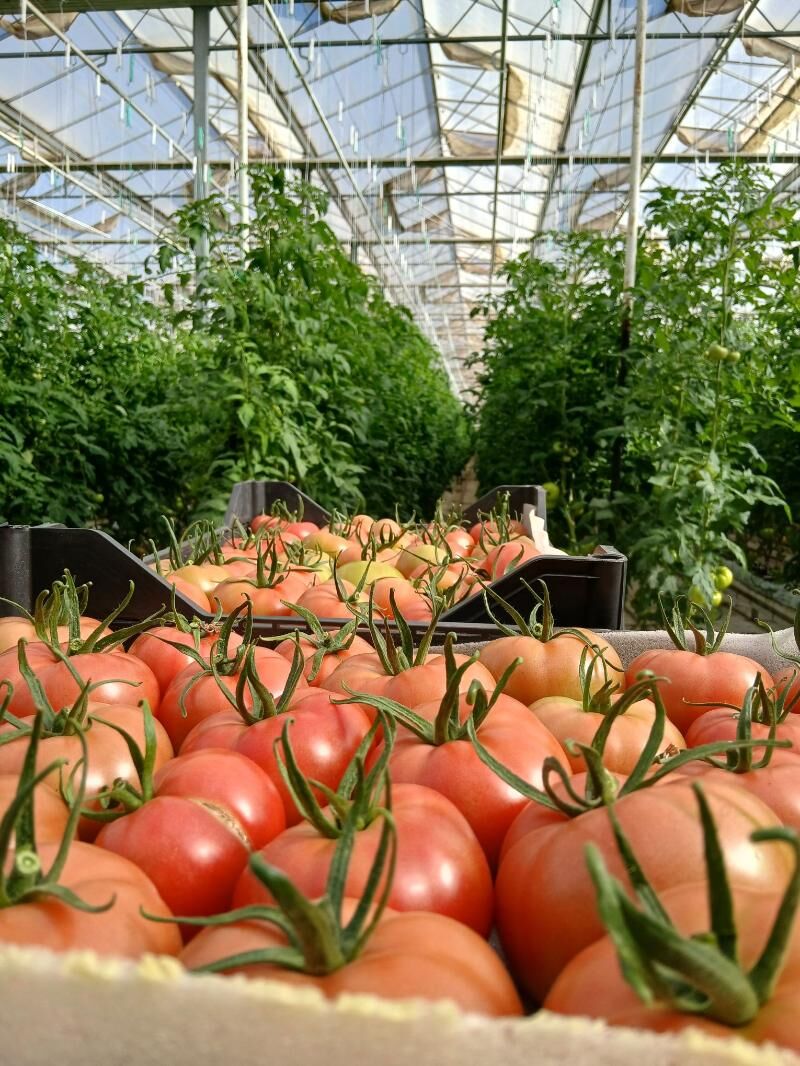 ishgar gerek - Бузмеин - img 3