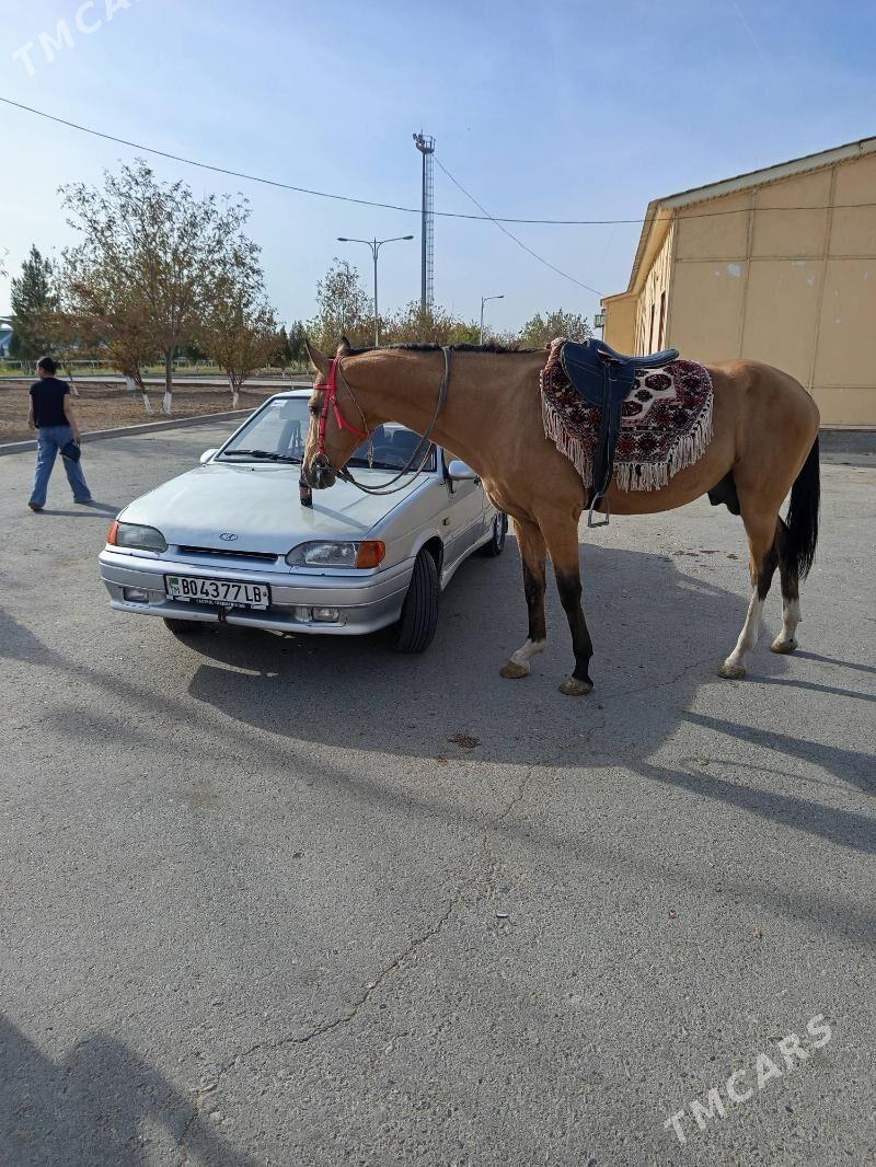 Lada 2115 2001 - 40 000 TMT - Dänew - img 5