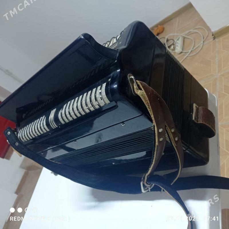 гармошка - Мир 6 - img 2