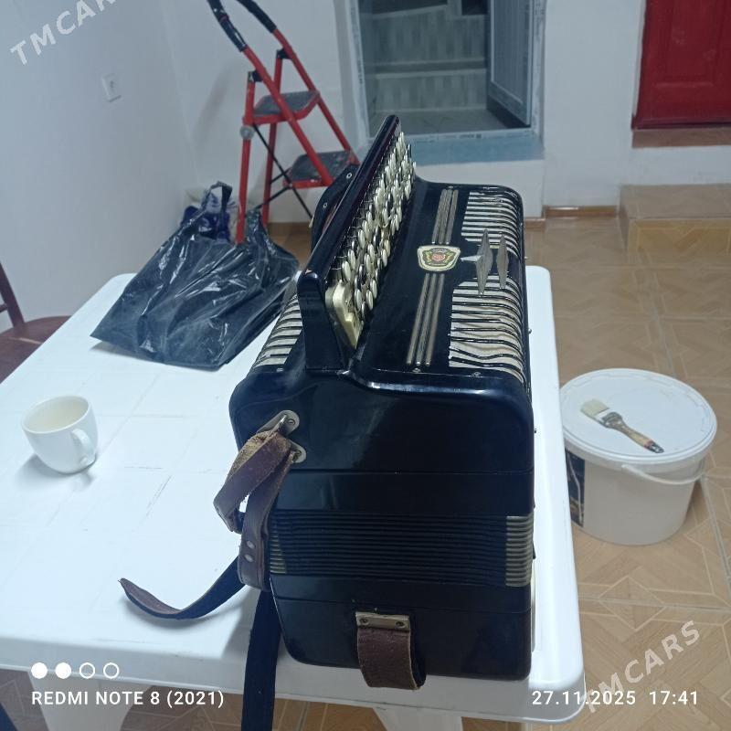 гармошка - Мир 6 - img 3