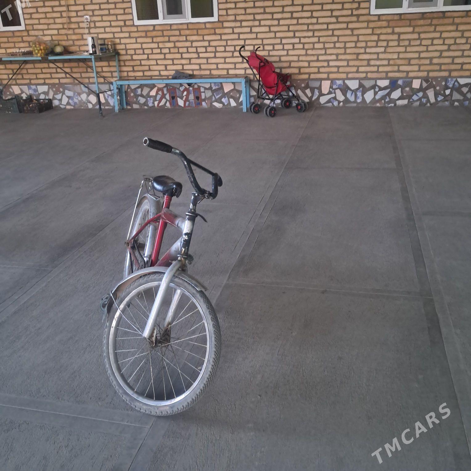 Tigir - Кака - img 3