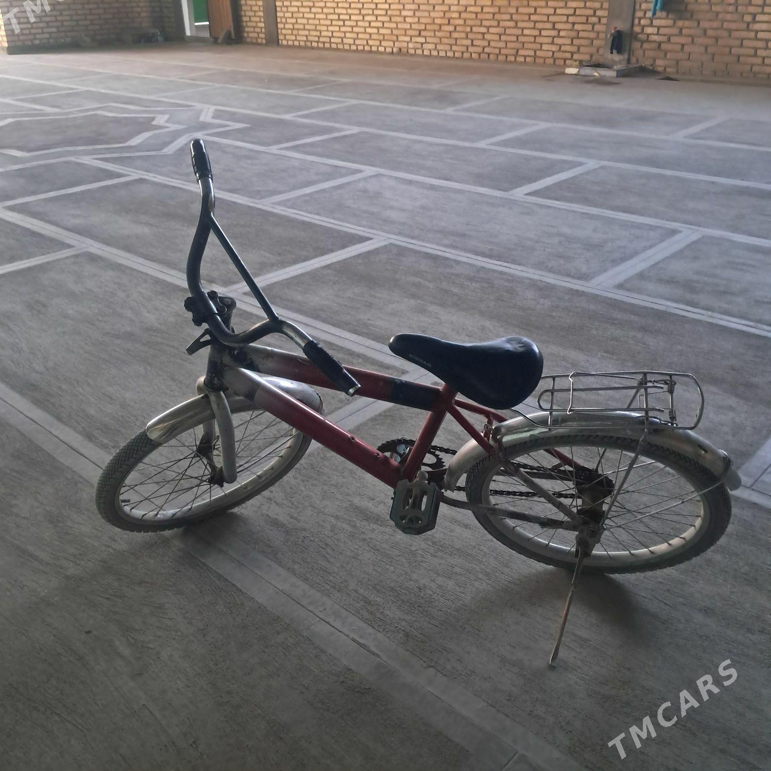 Tigir - Кака - img 2