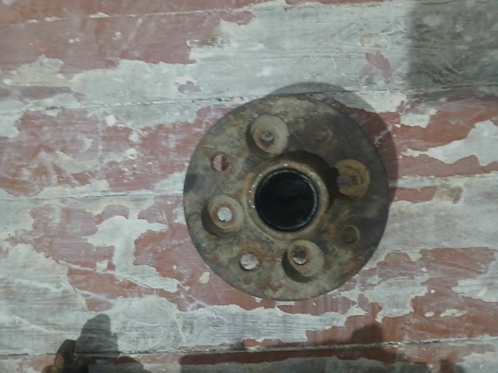 ustupitsa , kulak 600 TMT - Mary - img 2