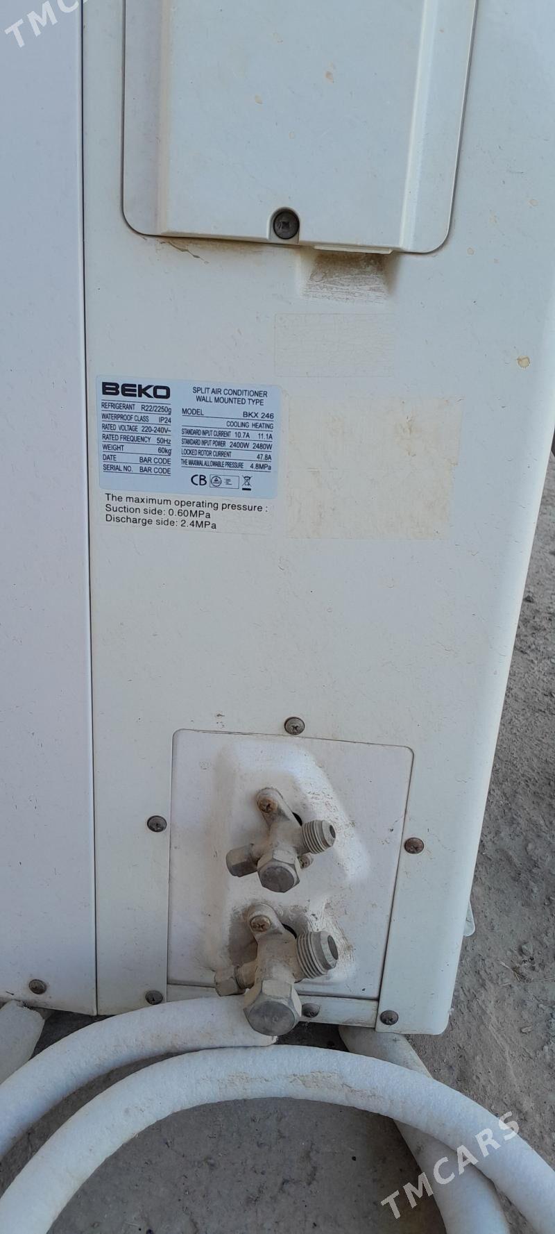 Kansaner - Mary - img 4