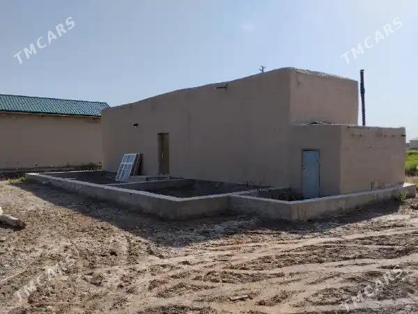 Satlyk jay - Köneürgenç - img 3