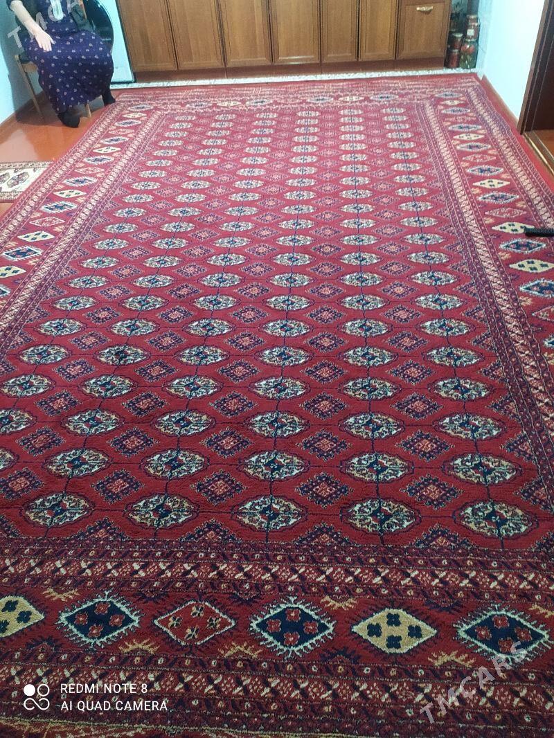 haly - Балканабат - img 2