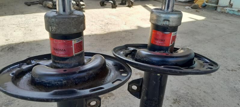 Amansatr Tacoma 300 TMT - Мары - img 2