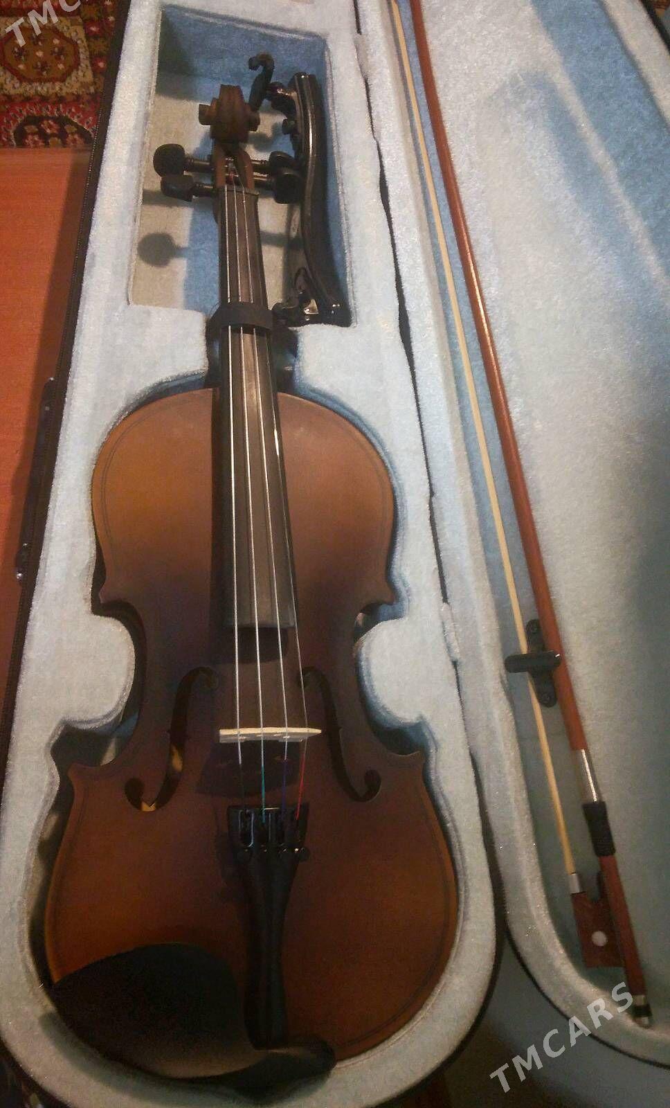 skripka - Aşgabat - img 2