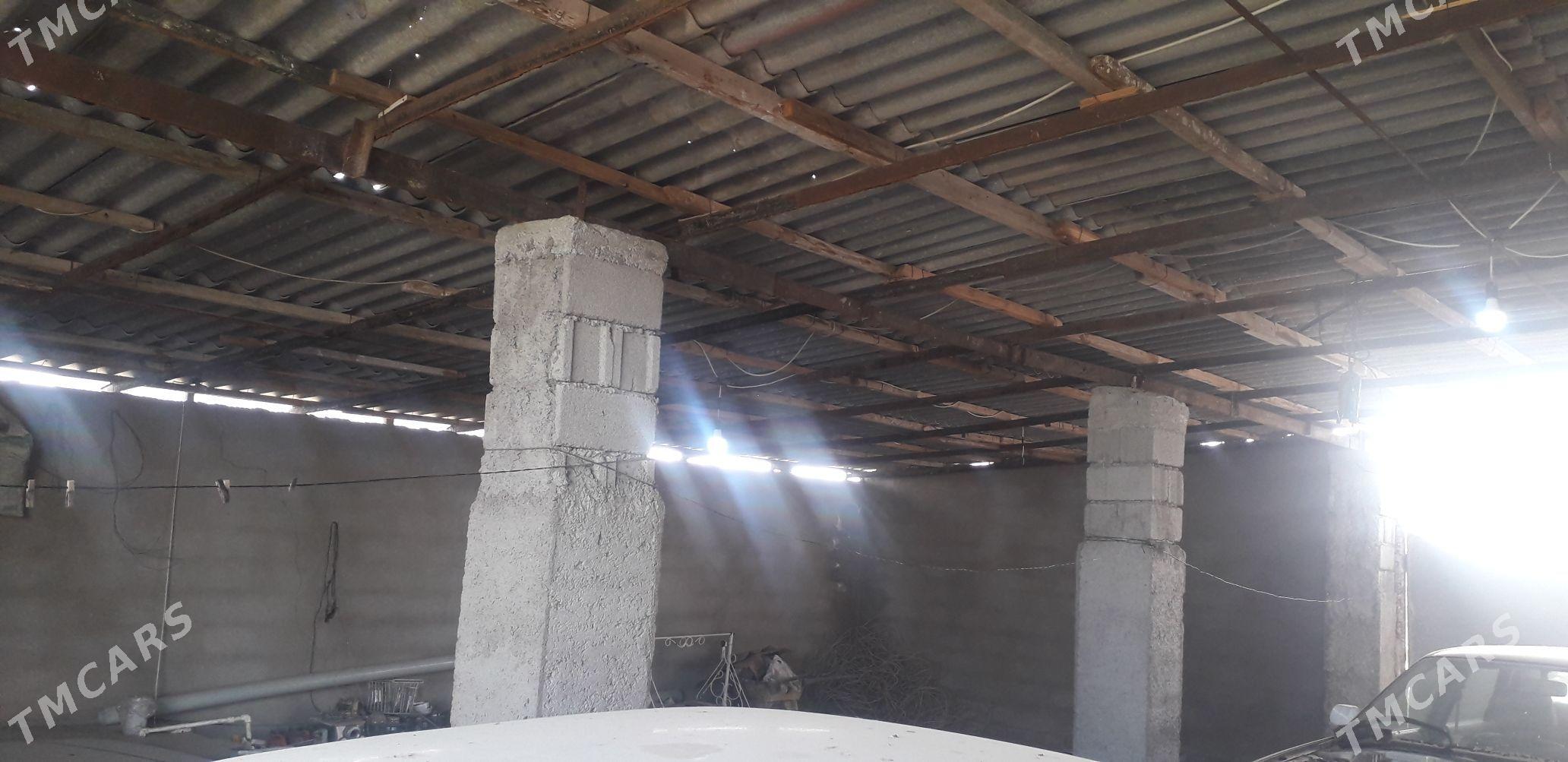 jay talhannly - Büzmeýin - img 8