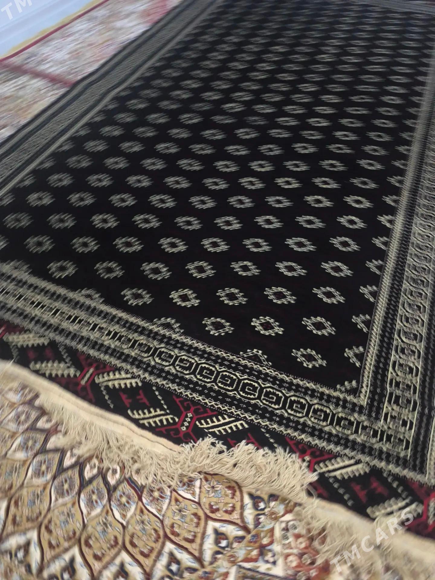 Haly - Gumdag - img 1