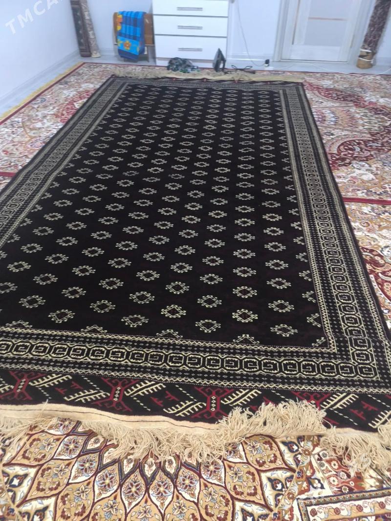 Haly - Gumdag - img 2