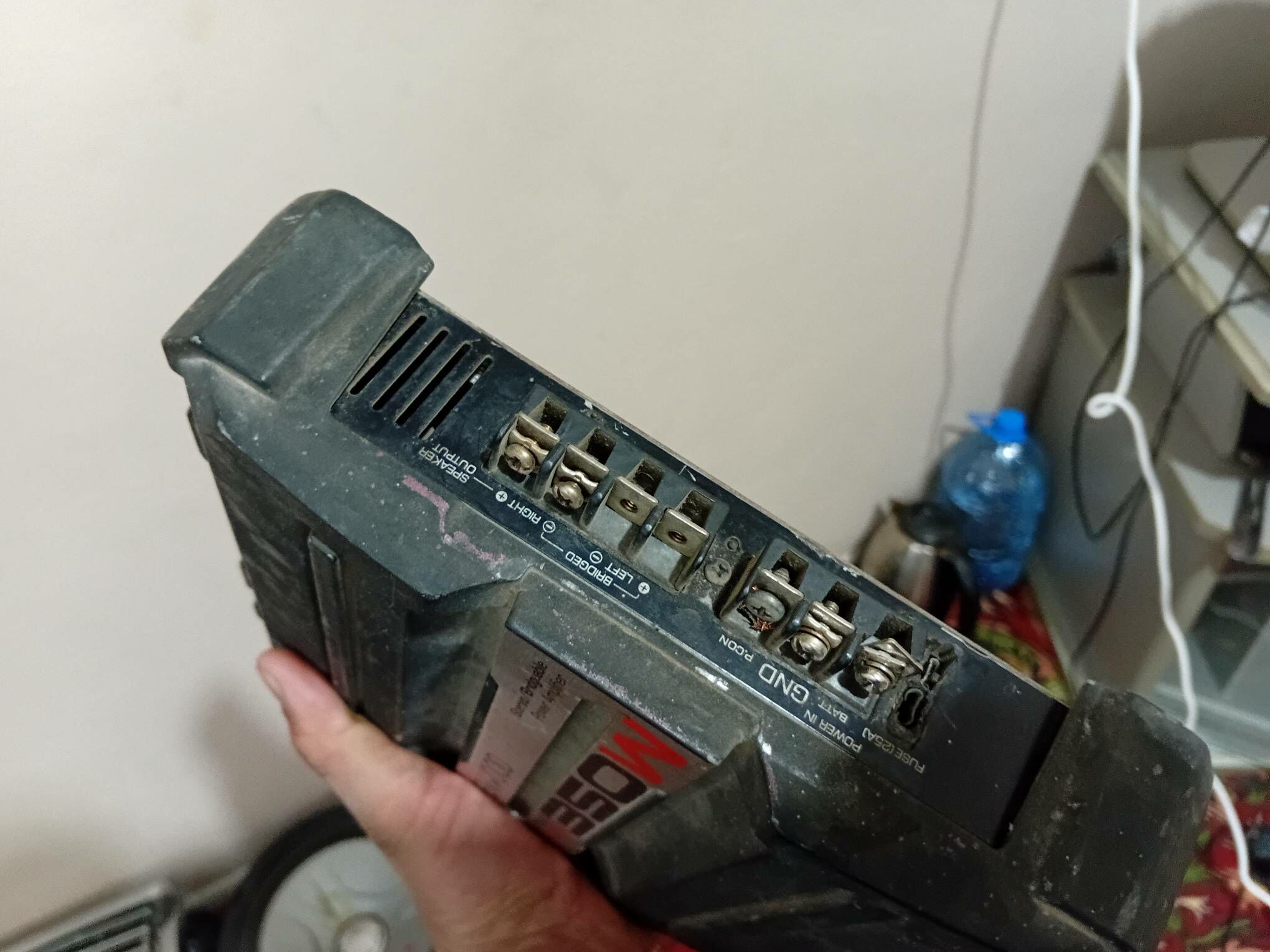 basbocyka 1 700 TMT - Büzmeýin - img 3