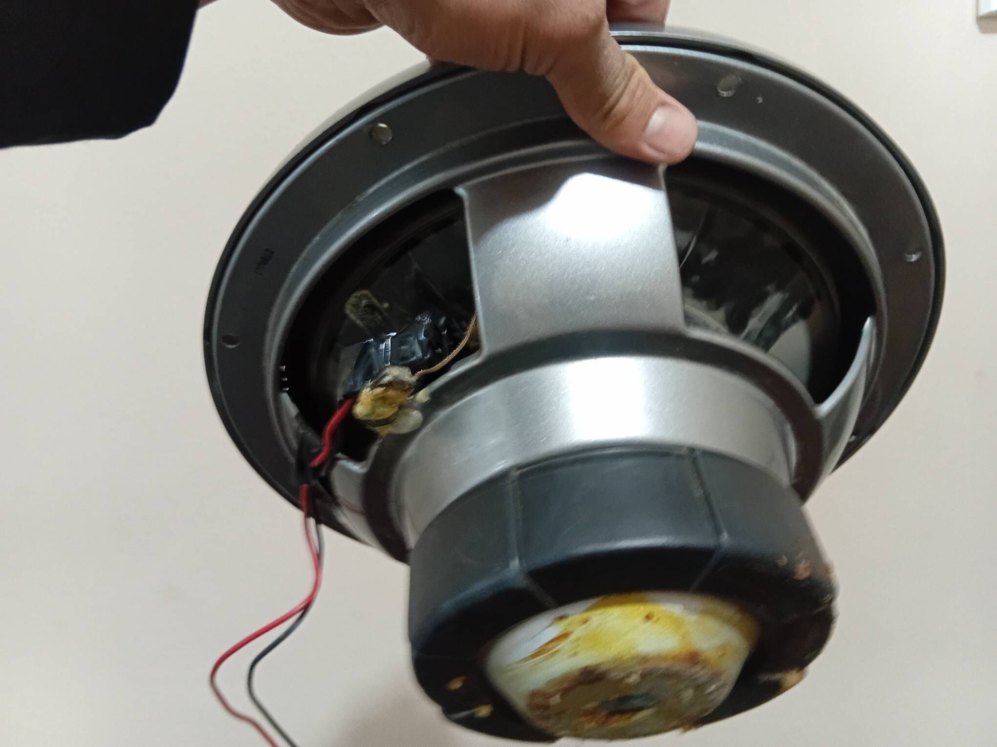 basbocyka 1 700 TMT - Büzmeýin - img 2