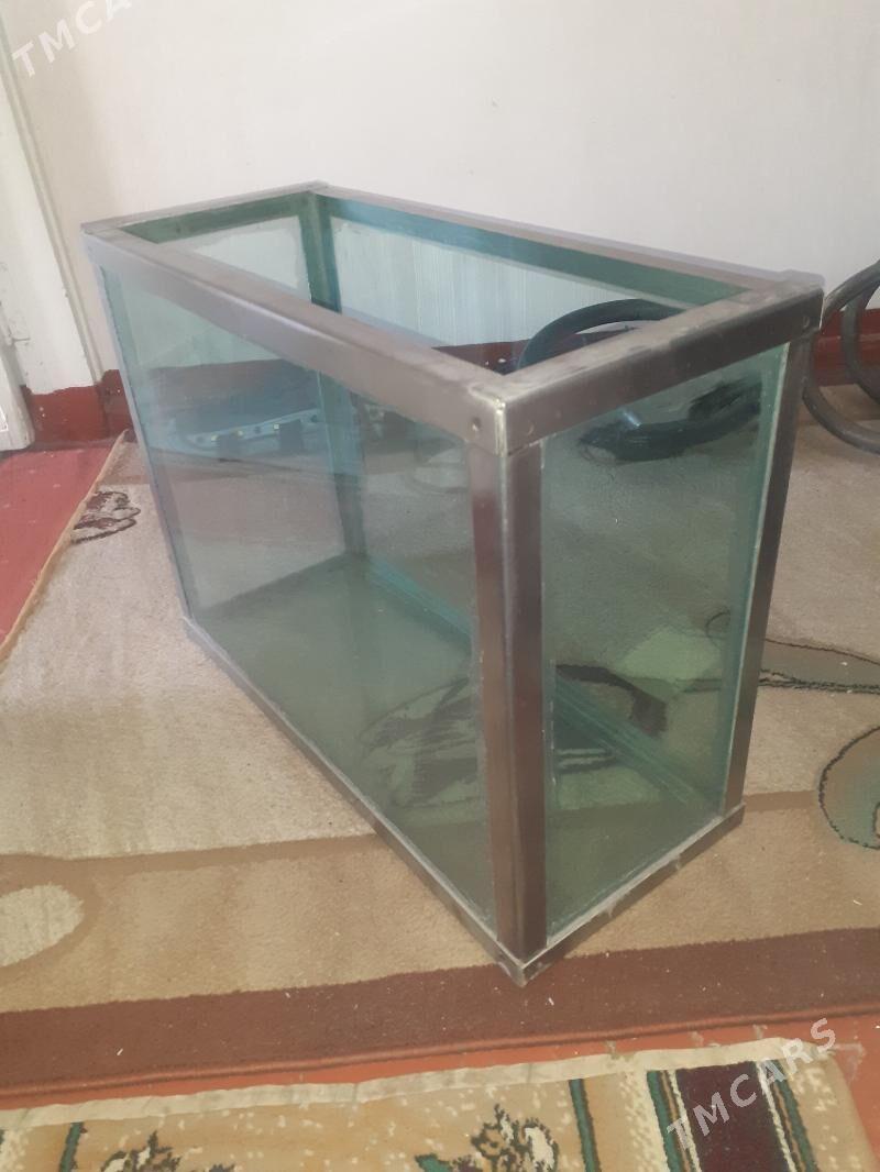 Аквариум. - Мары - img 2