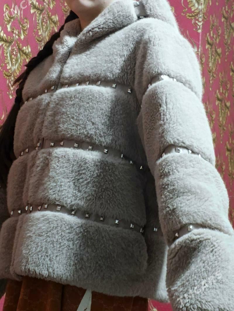 Şuba - Balkanabat - img 1