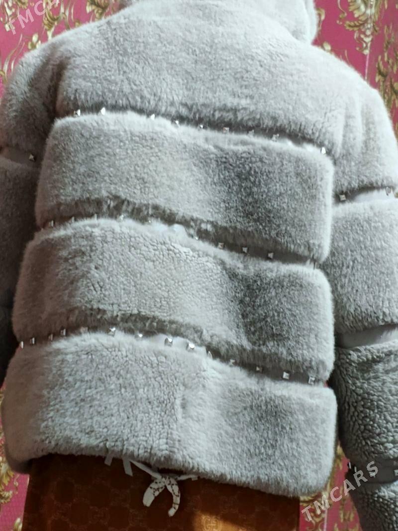 Şuba - Balkanabat - img 3