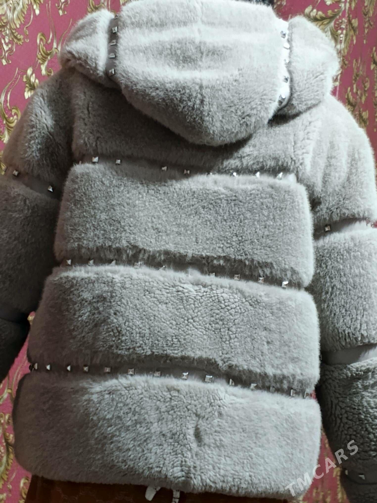 Şuba - Balkanabat - img 2