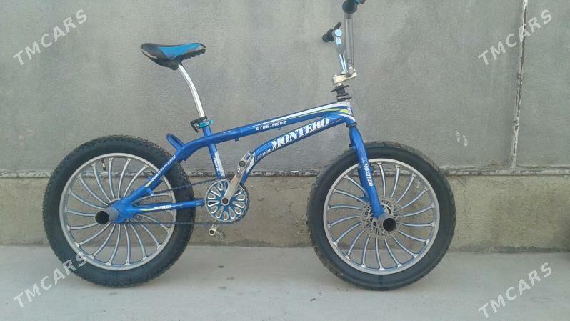 duga tigr - Бахарден - img 3