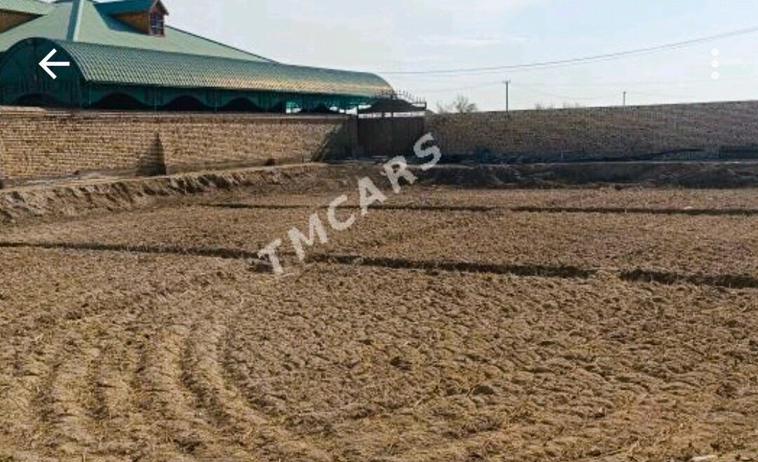 yer jay - Шабатский этрап - img 2