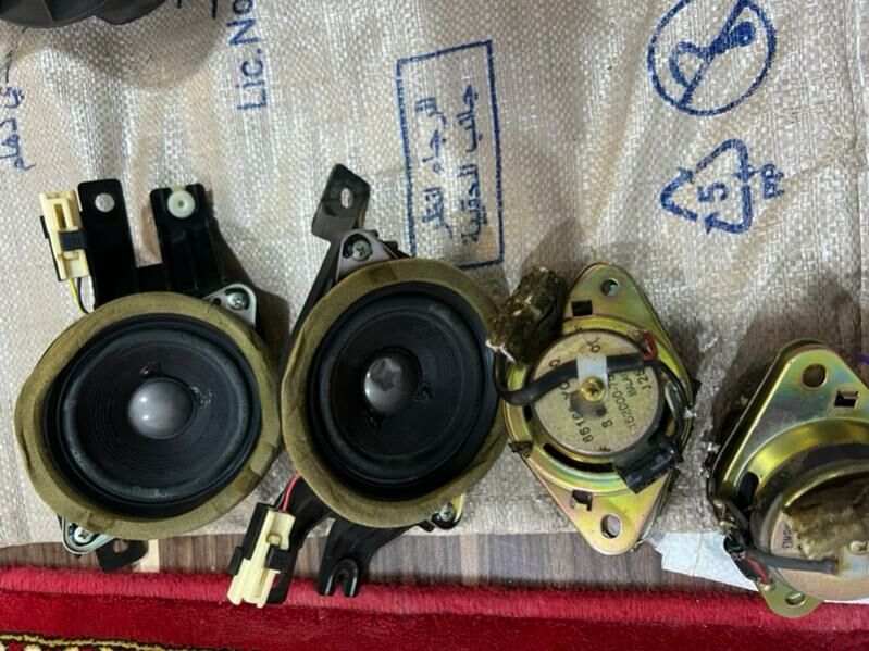 kalonka 60 TMT - Mary - img 9